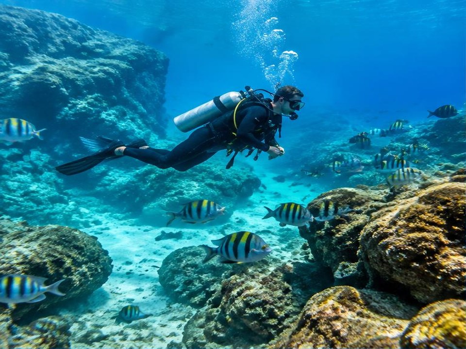 Mergulho em Arraial do Cabo